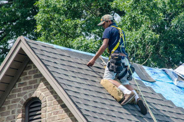 Roof Gutter Cleaning in Thompson Falls, MT